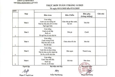 Thực đơn tháng 11 năm 2025